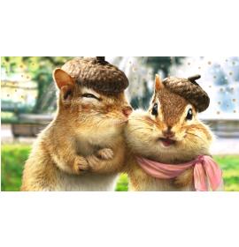 Money envelope card 18221