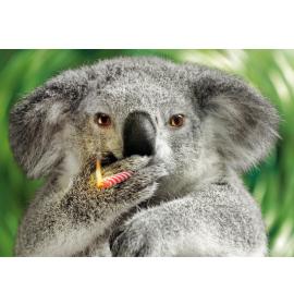 Atvirukas su voku 26218