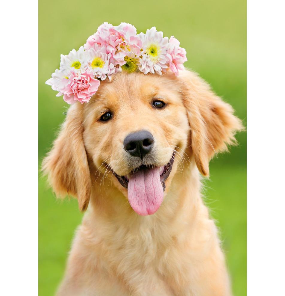 Double card, print inside