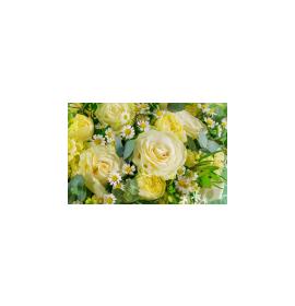 Mini atvirukas 26252