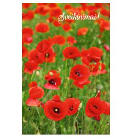 Standard double card, print inside 26087