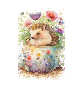 Atvirukas dekoratyvinis pinigams 27001-0