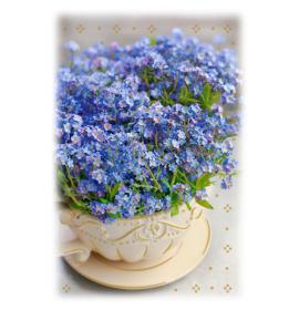 Atvirukas su voku 27075