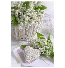 Atvirukas su voku 27079