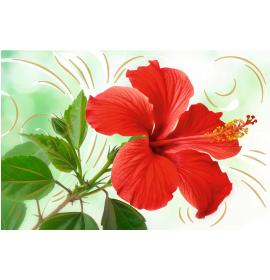 Atvirukas su voku 27099