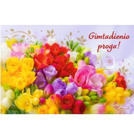 Atvirukas su voku 27226