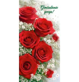 Double card, print inside 27204