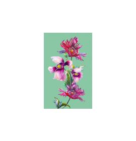 Gift card, small, double (figural) 27156