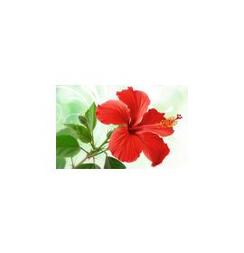 Gift card, small, double (figural) 27179