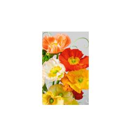 Gift card, small, double (figural) 27191