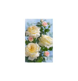 Gift card, small, double (figural) 27194