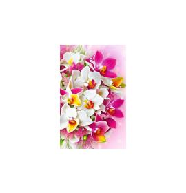 Mini atvirukas 27184