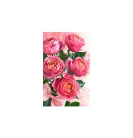 Mini atvirukas 27187