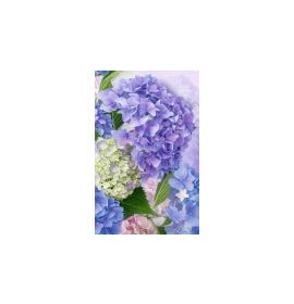 Mini atvirukas 27192