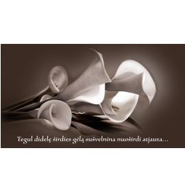 Money envelope card 14201-0