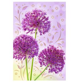 Standard double card, print inside 27074