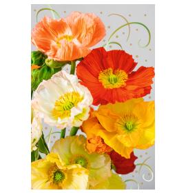 Standard double card, print inside 27096