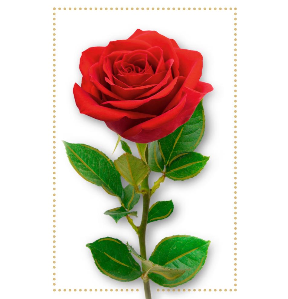 Standard double card, print inside