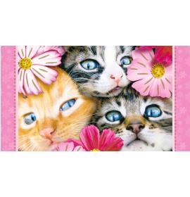 Money envelope card 21341