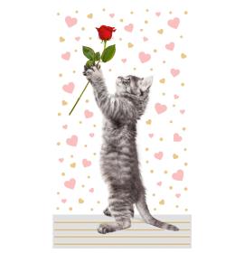 Money envelope card 25143-0