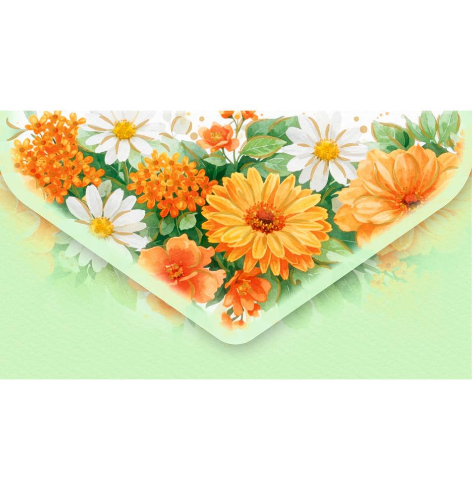 Money envelope card