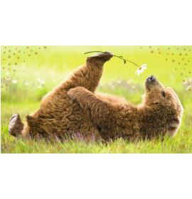 Money envelope card 18403