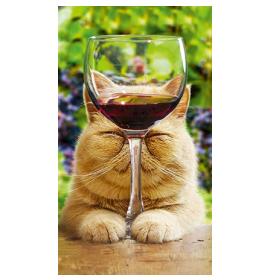 Atvirukas dekoratyvinis pinigams 20143