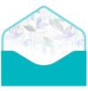 Money envelope card