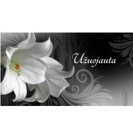 Atvirukas dekoratyvinis pinigams 23151-0