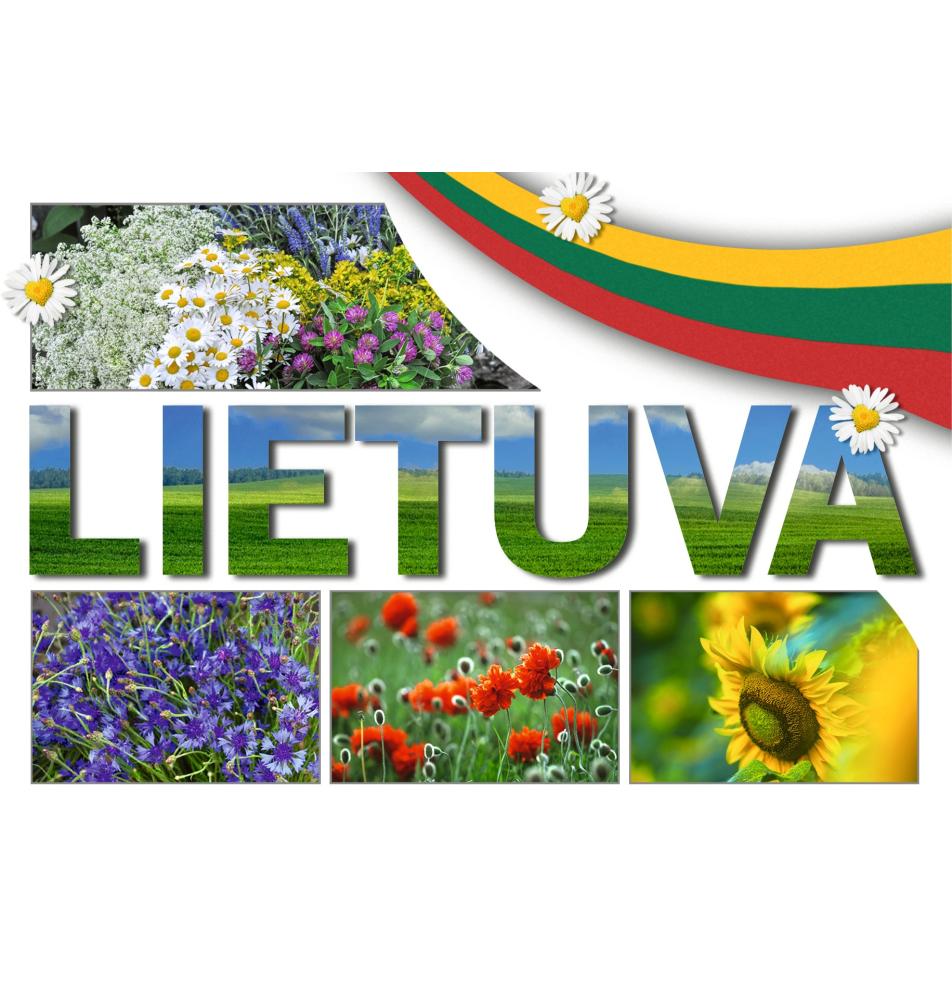 Atvirukas viengubas turistinis