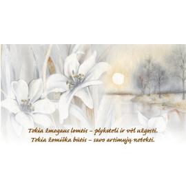 Atvirukas dekoratyvinis pinigams 11123-0