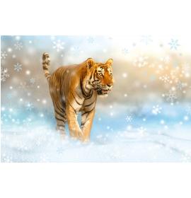 Atvirukas su voku 22452