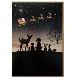 Atvirukas su voku MC061