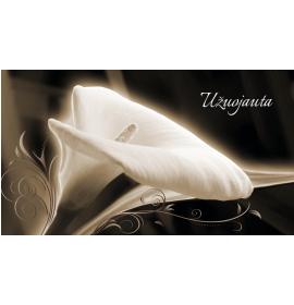 Atvirukas dekoratyvinis pinigams 16257-0