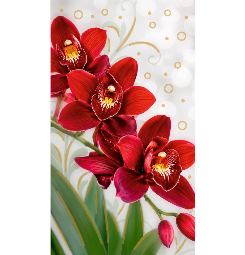 Money envelope card