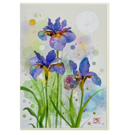 Atvirukas su voku B046