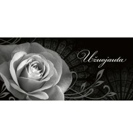 Atvirukas dekoratyvinis pinigams, dovanų čekiams su kortele viduje 21480-0