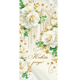 Money envelope card 25284