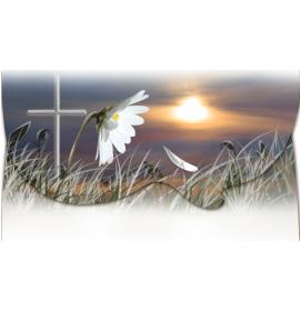 Money envelope card 11122