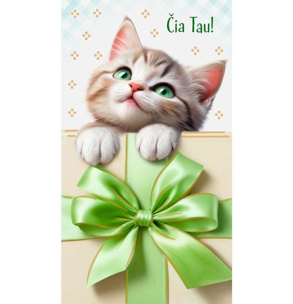 Money envelope card