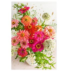 Atvirukas su voku 26544