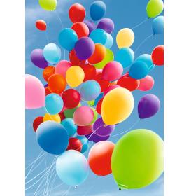 Atvirukas pailgas su voku 24735