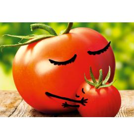 Atvirukas pailgas su voku 24737