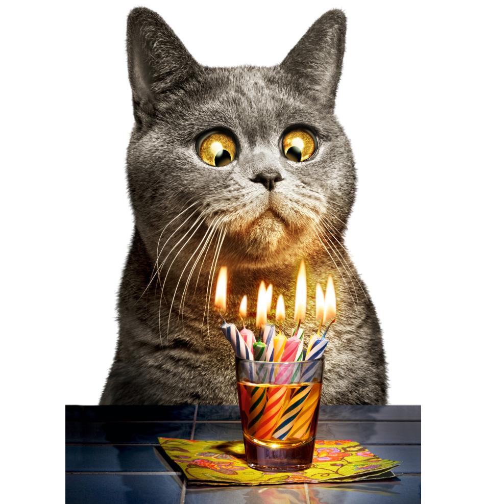 Atvirukas pailgas su voku