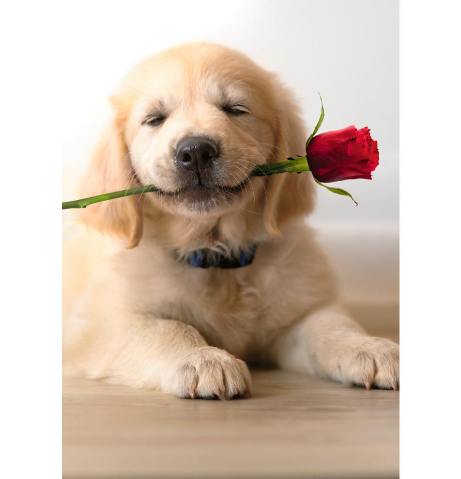 Double card, print inside