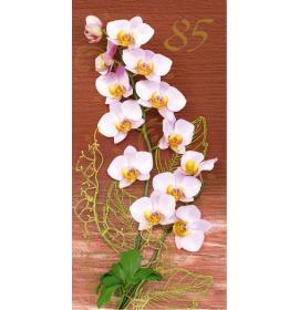 Atvirukas pailgas su voku 85-18099