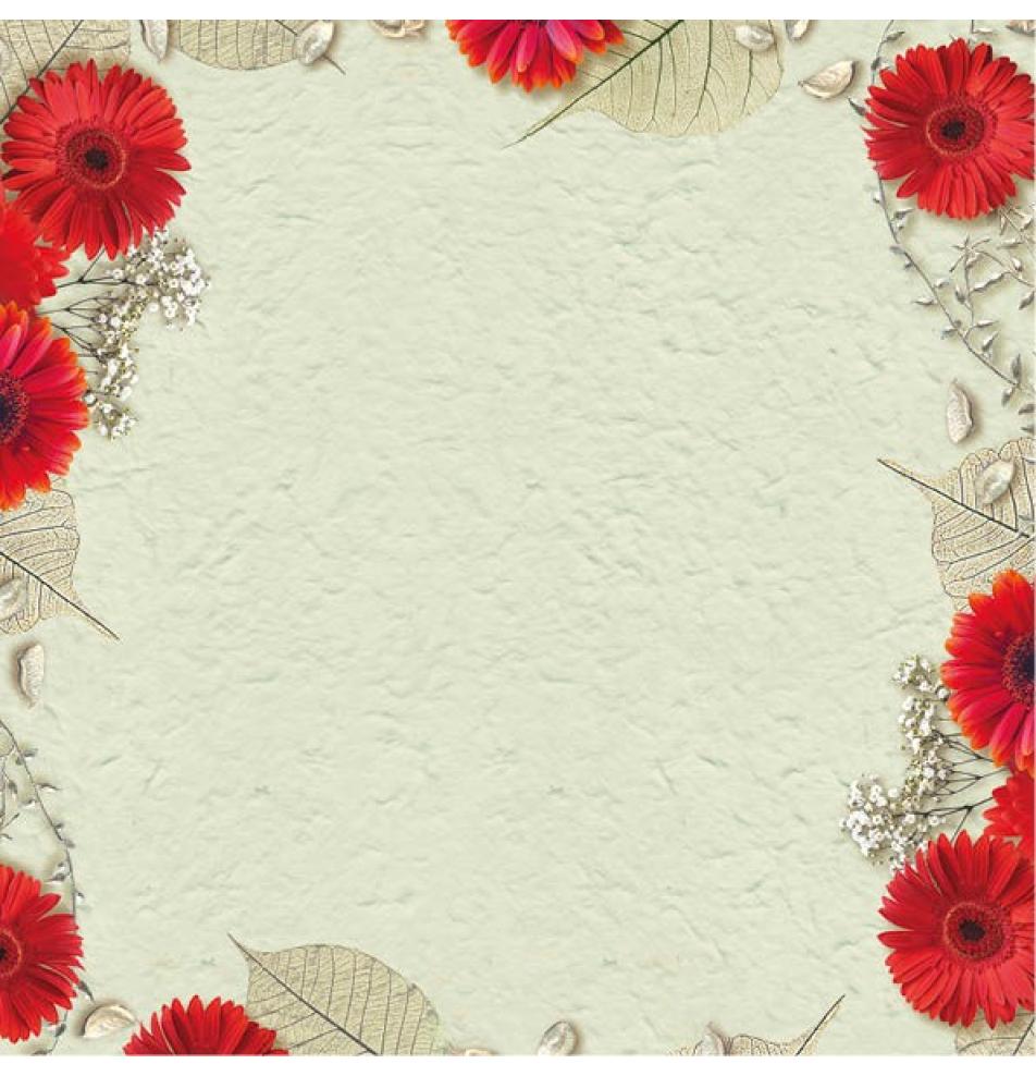 Atvirukas pailgas su voku