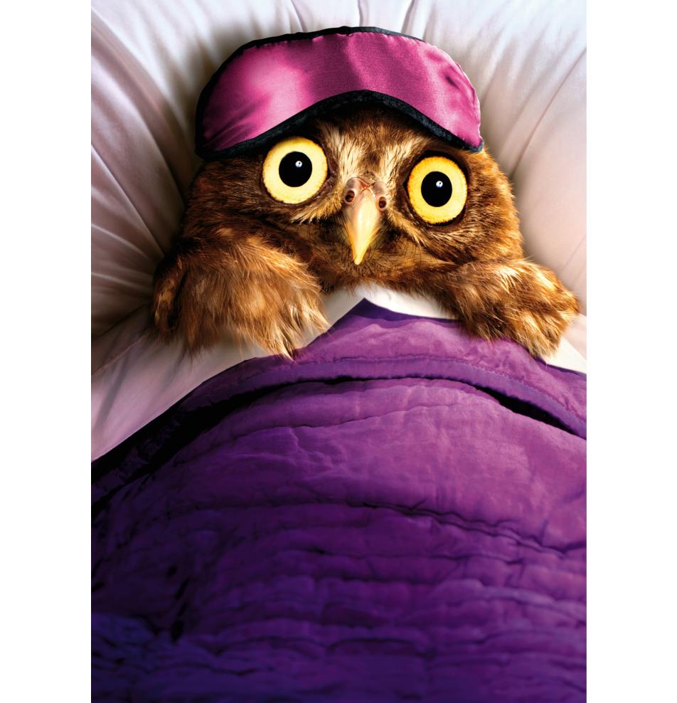 Atvirukas pailgas su voku