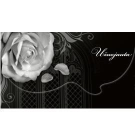 Money envelope card 20215-0