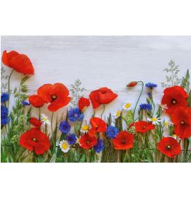 Atvirukas su voku 26489